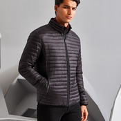 Tribe fineline padded jacket